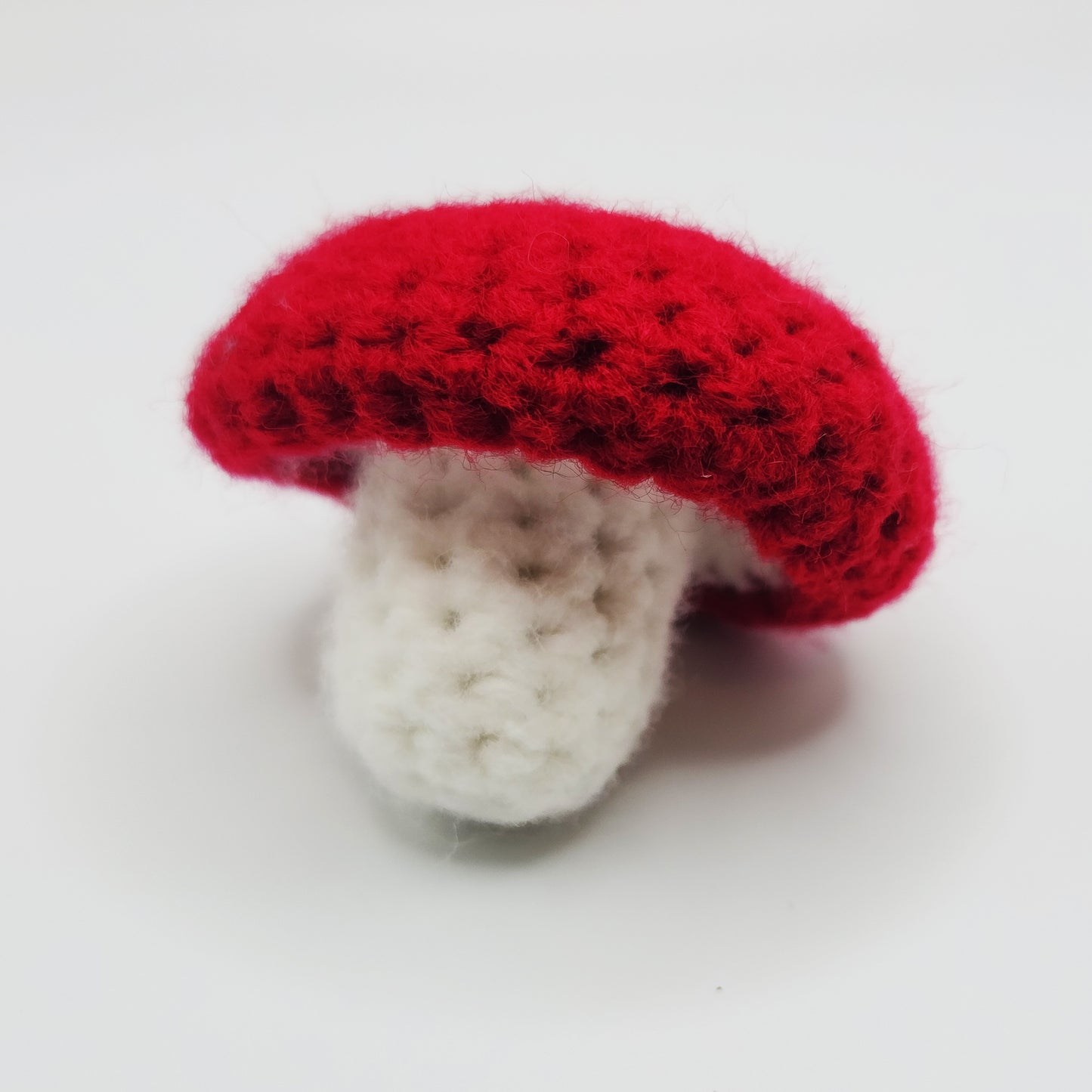 Kit Champignon
